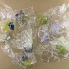 다마고치 반지 가챠