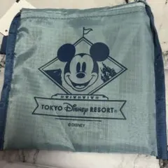【新品】ディズニーリゾート　エコバッグ