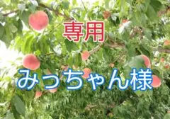 ❽専用 みっちゃん様【加工用:B級】≪3kg箱≫桃 あかつき (訳あり)