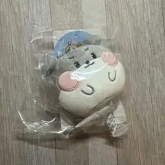 ZEROBASEONE ゴニニ ゴヌク フェイスキーリング