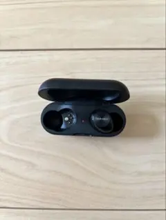 Technics（テクニクス） EAH-AZ40M2 右のみ