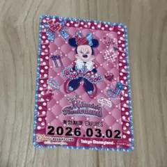 リゾラ フリーきっぷ ミニーの日 ミニーのファンダーランド 期限切れ