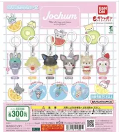 Jochum ジェオチャム　めじるしアクセサリー　コンプリート　6点　まとめ売り