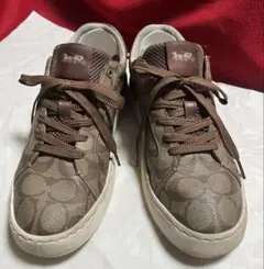 Item thumbnail for item 325a0c9c-ad39-4503-9874-c893faaa11a1