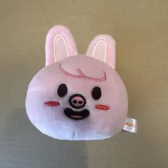 skzoo トェッキ ストレスボール stray kids チャンビン