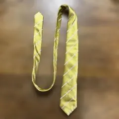 Item thumbnail for item 035c83af-08f6-49aa-98b3-e9635952b942