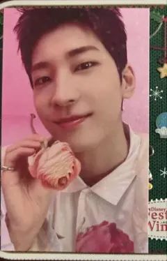 seventeen ウォヌ　特典　トレカ　ユニバ