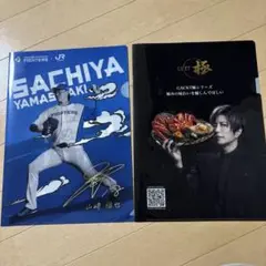 ★大量★ GACKT グッズ パンフ 写真集 クリアファイル 2025年最新】Gackt クリアファイルの人気アイテム - メルカリ