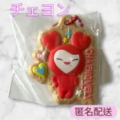 TWICE LOVELYS ビスケット&チャーム チェヨン CHAENGVELY