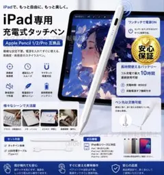 iPad タッチペン Apple Pencil2,1 Pro互換05231