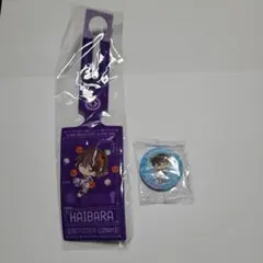 名探偵コナン 灰原哀 キーホルダー＆缶バッジセット