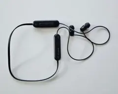 イヤホン ワイヤレス SONY WI-C100 Bluetooth ネックタイプ