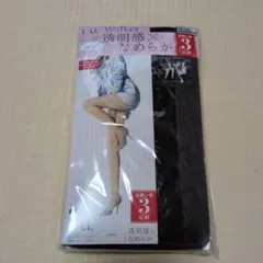 GUNZE　L-LL ブラック ストッキング