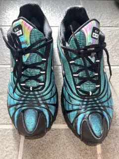 2026年最新】NIKE ナイキ ×SKEPTAの人気アイテム - メルカリ