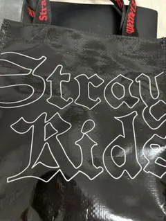 【限定値下】 Stray kids dominATE アプグレ　バッグ