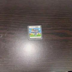 【動作確認済】New スーパーマリオブラザーズ 任天堂DS用ソフトのみ