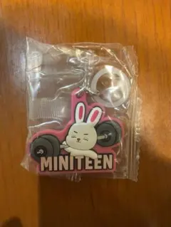 MINITEEN ガチャガチャ めじるしアクセサリー エスクプス