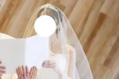 MIRROR MIRROR ベール　80×250