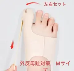 Item thumbnail for item 6e434dd1-d142-4825-892b-7b76643bf31f