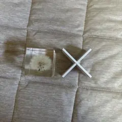 sola cube タンポポ