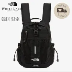 韓国限定✨ノースフェイス　RECON MINI リュック