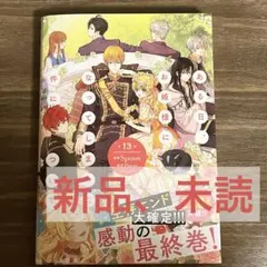 ある日、お姫様になってしまった件について 13巻