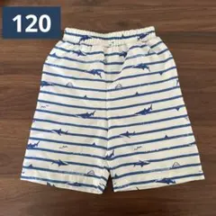 水着　男の子　120cm サメ　swimming pantsのサムネイル