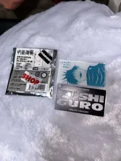 呪術廻戦 スライドアクリルキーホルダーコレクション　伏黒くん