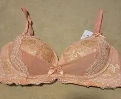 Item thumbnail for item a4c1d845-a7b6-4400-a4d3-3c0e4a661d5e