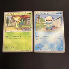 2026年最新】ミジュマル ポケモンカードの人気アイテム - メルカリ