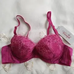 B70　トリンプ　ブラジャー可愛い刺繍