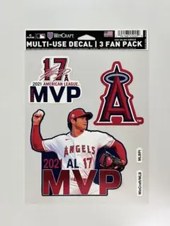 大谷翔平 スポーツ選手