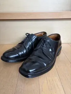 Alden 990 コードバン Color8 6D シューツリー付 - メルカリ