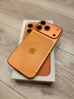 Apple iPhone 本体