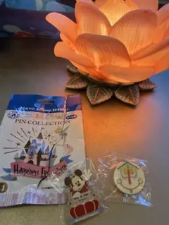 東京ディズニーリゾート ピンコレクション