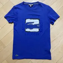 LACOSTEラコステTシャツXS 160cm程度