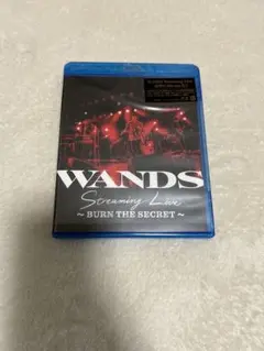 WANDS/Streaming Live～BURN THE SECRET～
