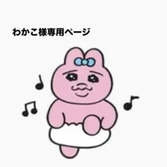 わかこ様専用ページ