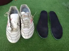 モナルシーダ26