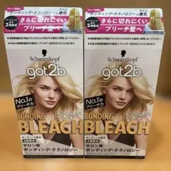 got2b ボンディングブリーチ剤 2個セットのサムネイル