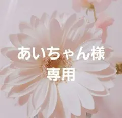 あいちゃん様専用