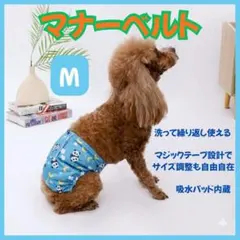 Item thumbnail for item 3400b980-077a-4dad-9482-18dfebd91bb4