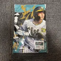 【美品】阪神タイガース 糸原健斗 選手 フォトタオル
