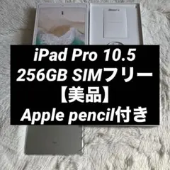 【早い者勝ち】iPad Pro 10.5 256GB 付属品多数！ 【すぐ発送】