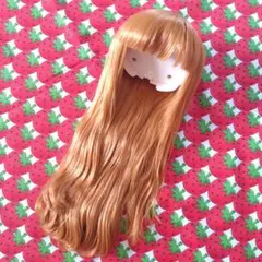 ブライス本体のみ 2026年最新】ブライス本体中古の人気アイテム - メルカリ