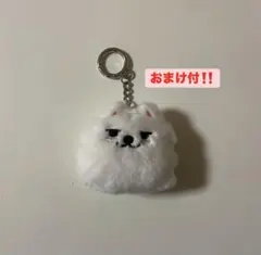 ヨンモン キーリング (おまけ)スビントレカ付