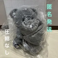 TAITO限定＊いっしょにぬくぬくくまさんブランケット付〈グレー〉のサムネイル