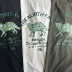 THE NORTH FACE 石垣島限定 Tシャツ 150cm 白のサムネイル