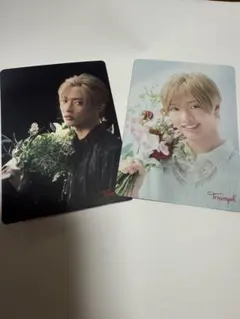 Triumph IMP. 佐藤新 トリンプ オリジナル メッセージカード