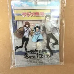 シュタインズゲート　ラジオ会館 トレーディング缶バッジ　全10種　シークレット込 激レア未開封コンプセット】シュタインズゲート 秋葉原ラジオ